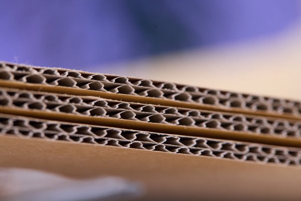 Bilanz-Pressegespräch Österreichische Wellpappe-Industrie
